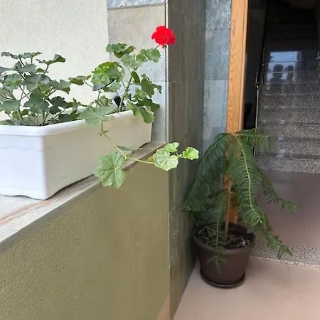 Casa Orquidea *